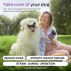 Dog UTI Treatment