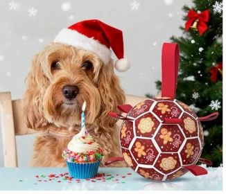 Dog Soccer Ball Tug Toy
