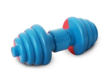 Floating Chew Fetch Dog Toy