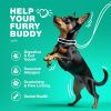 Probiotics for Dogs Gut Health Digestion Immunity Yeast Balance Itchy Skin Allergies Support Dog Probiotic Chews with Digestive Enzymes for Gut Flora