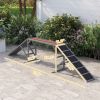 Dog Agility Equipment Ramp