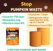 Pumpkin Powder for Dogs Digestive Support 16 OZ Fiber Supplement for Constipation For Gut Balance Healthy Skin Digestion Anal Glands Firm Stool Poop A