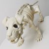 1pc 20.47 Inch Artificial White Dog Skeleton Simulation Simple Model Suitable For Halloween Decoration Indoor And Outdoor Decoration Christmas, Hallow