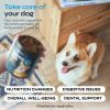 Probiotics for Dogs Probiotic Chews for Digestive and Gut Health Dental Immune System Support Chewable Prebiotic Soft Treats Wild Yam Yeast Powder Dia