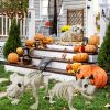 1pc 20.47 Inch Artificial White Dog Skeleton Simulation Simple Model Suitable For Halloween Decoration Indoor And Outdoor Decoration Christmas, Hallow