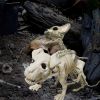 1pc 20.47 Inch Artificial White Dog Skeleton Simulation Simple Model Suitable For Halloween Decoration Indoor And Outdoor Decoration Christmas, Hallow