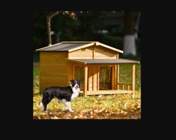 Large Pet House Outdoor Wooden