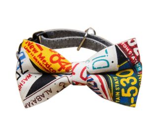 Dog Gentleman Collar