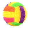 Interactive LED Dog & Cat Ball Toy