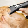 Black Pet Shaver for Dogs & Cats