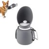 Collapsible Dog Water Bottle