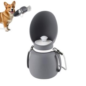 Collapsible Dog Water Bottle