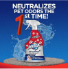 Pet Carpet Stain Remover