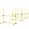Dog Agility Starter Set 4 Piece Yellow