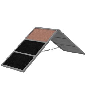 Dog Training Agility Ramp Non-Slip