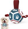 Soccer Ball for Dogs