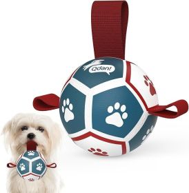 Soccer Ball for Dogs