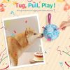 Dog Birthday Toys