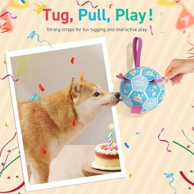 Dog Birthday Toys