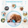 Dog Toys for Aggressive Chewers