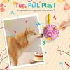 Dog Squeaky Tug Toys