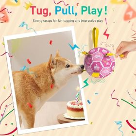 Dog Squeaky Tug Toys