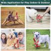 Dog Interactive FetchToys