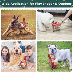 Dog Interactive FetchToys