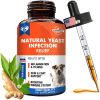 Dog Yeast Infection Treatment
