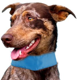 Summer-Cooling Dog Neck Wrap Adjustable