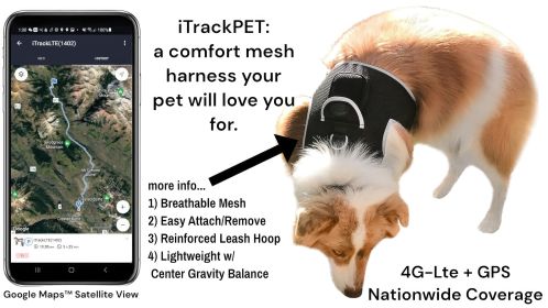 Realtime GPS Pet Tracker Collar M