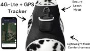 Wireless GPS Dog Tracker Collar XS