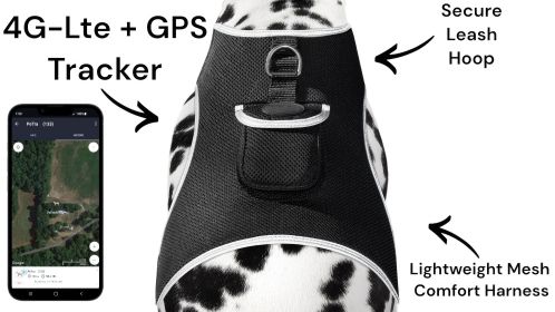 Wireless GPS Dog Tracker Collar XS