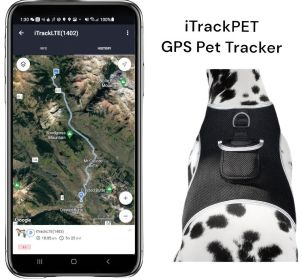 Waterproof Pet GPS Tracker Medium
