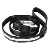 Light-Up Waterproof Dog Walking Leash 5FT