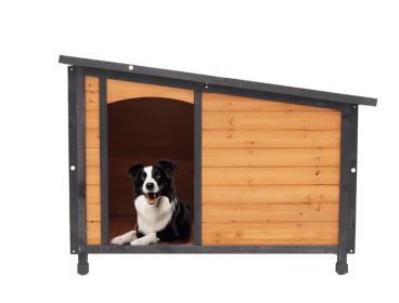 Dog Kennel for Winter