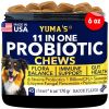 Dog Probiotic Supplement