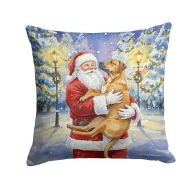 Santa Indoor Outdoor Pillow
