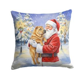 Santa Decor Pillow