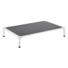Raised Dog Cot