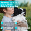 Dog Anxiety & Calming Powder