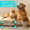 Natural Stress Relief Oil for Dogs