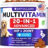 Dog Joint Support Chews