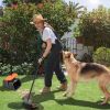 Pooper Scooper Set Dog Rake and Bin with Bag Dispenser