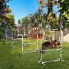 Dog Agility Training Set 4 Piece Adjustable Jumps