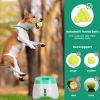 Fetch Machine for Dogs with 6 Balls