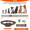 Dog Electric Shock Collar