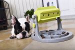 Slow Dog Feeder