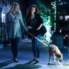 Light-Up Waterproof Dog Walking Leash 5FT