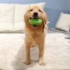 Puppy Training Teething Toy